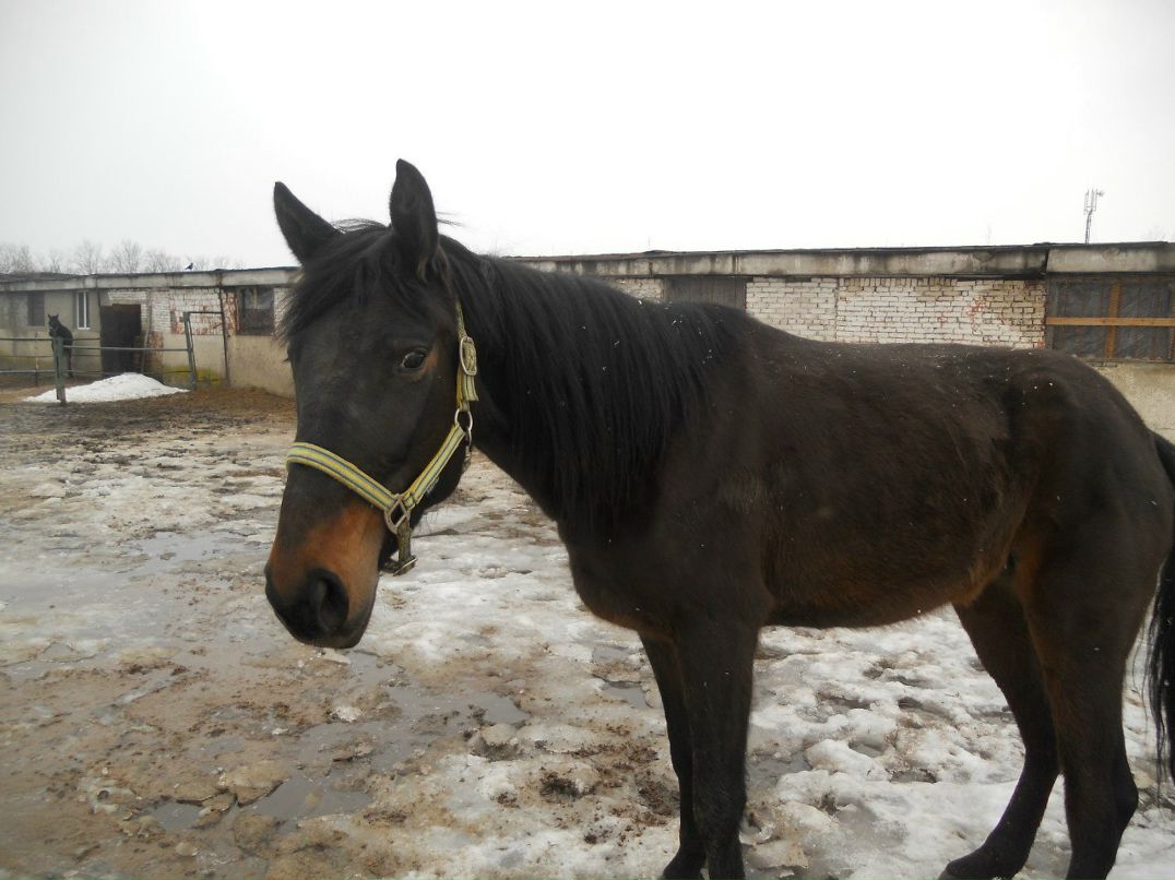 Таисия Медведева | Мытищи