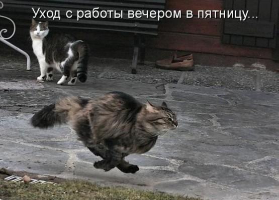 Слава Тимоша | 