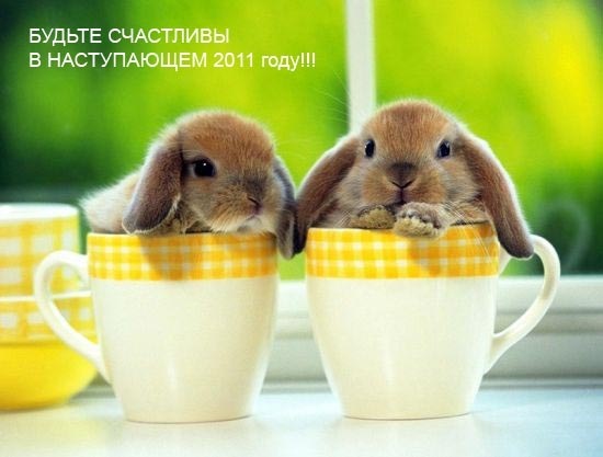 №9, Ирина Нестерова, 52 года, Москва №9, Ирина Нестерова, 52 года, Москва