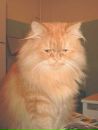 Фотография Юрий Иванов