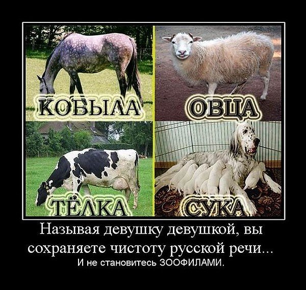 №116, Юлия Бушан, Екатеринбург №116, Юлия Бушан, Екатеринбург