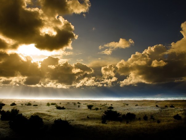 Сергей Власов † | 