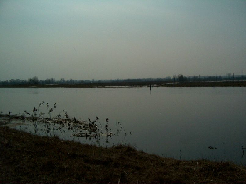 Александр Шипко | Епифань