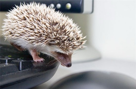 Сергей Ознобишин | Пермь