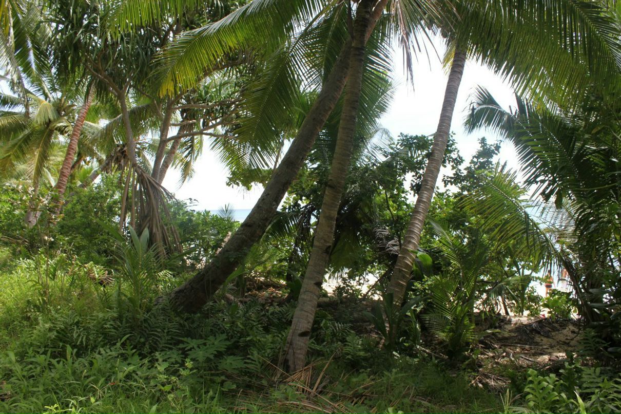 Наталия Stronger | Киев