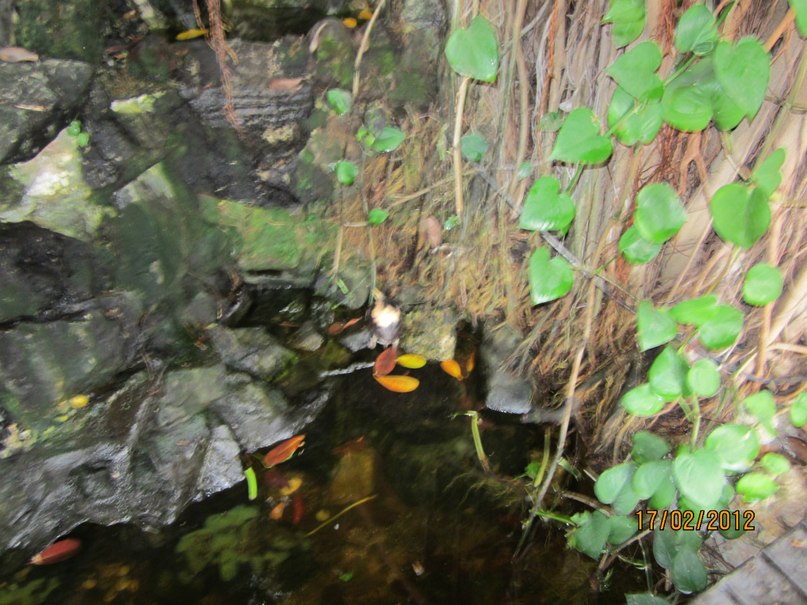 Valentina Stepanova | Санкт-Петербург