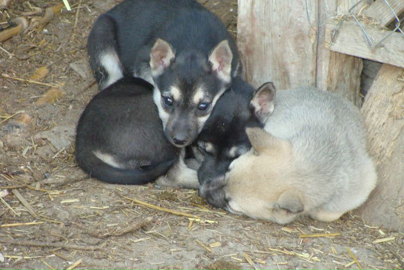 Вова Федус | Тернополь