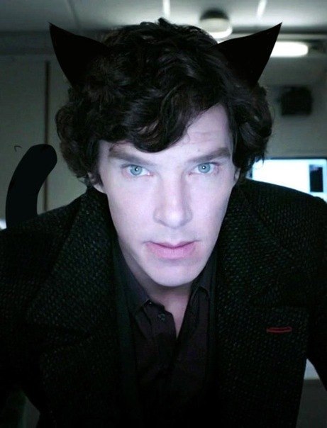 Денис Медянский | Ростов-на-Дону