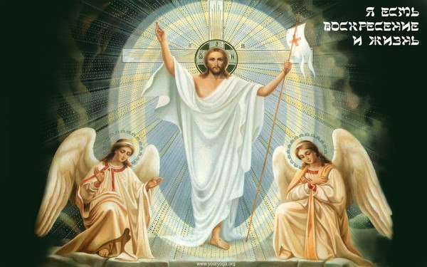 Евгений Родолюб фото со стены #6