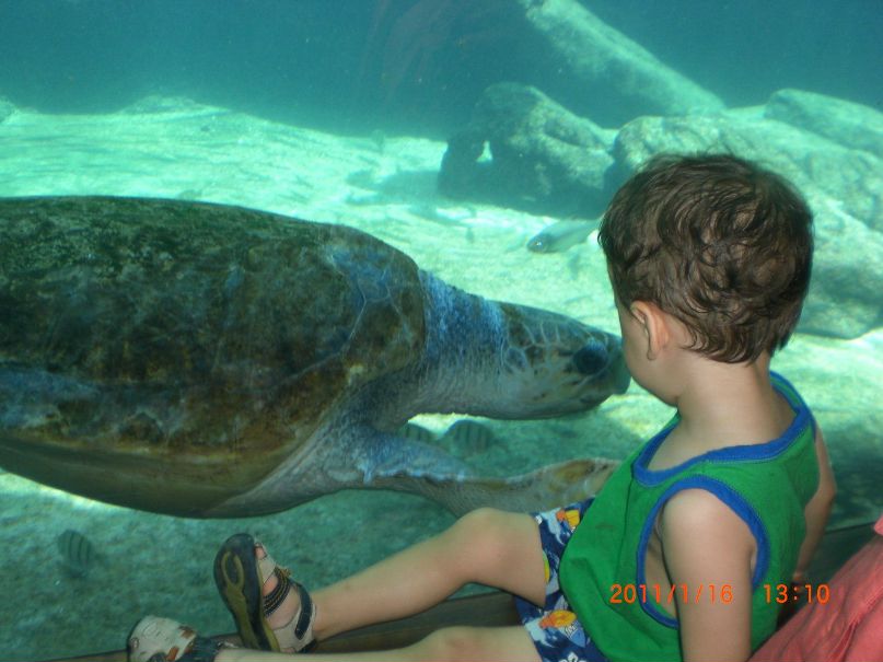 Екатерина Савчишкина | Алматы