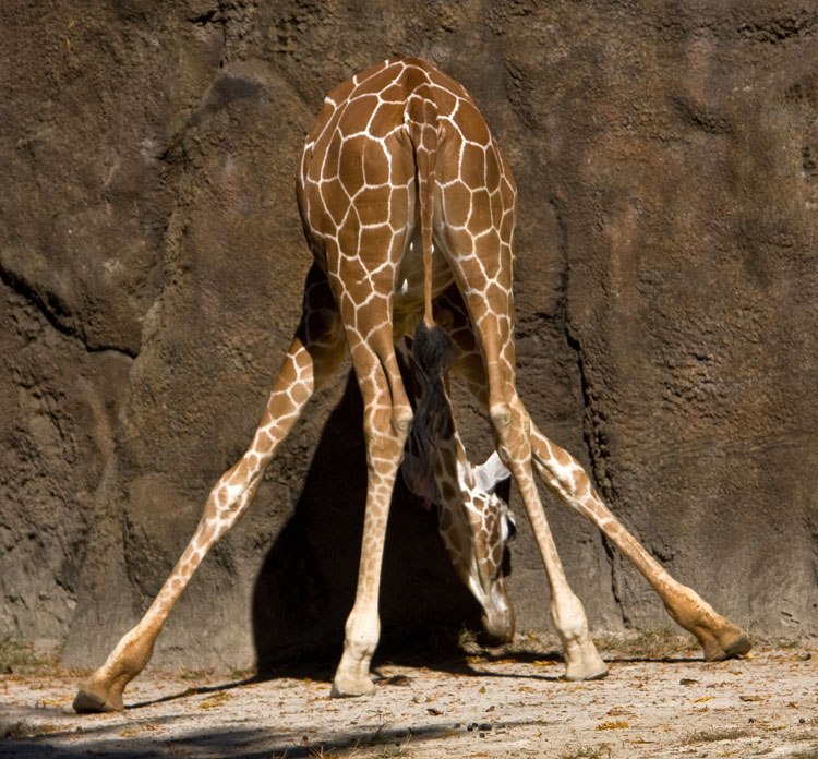 Алсу Ахмадуллина | Казань