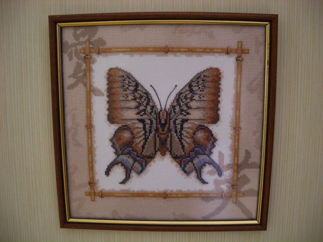 Алина Куркатова | Москва