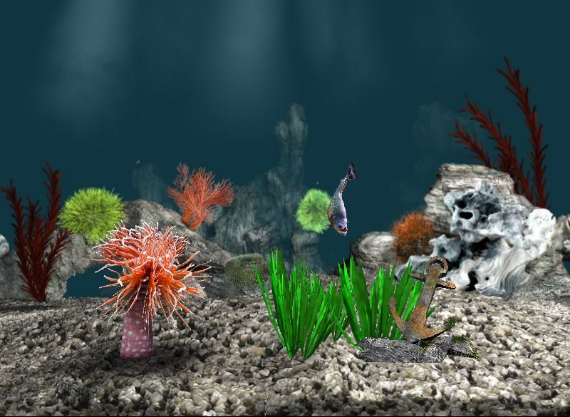 Станислав Иванов | Санкт-Петербург