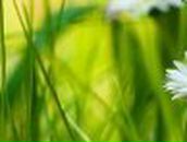 Юська Смышникова | Киев (деревня)