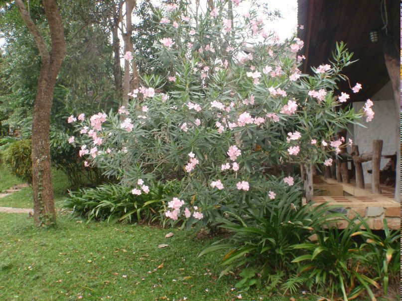 Костя Хромов | Москва