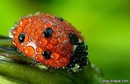 Фотография Юрмашева Алексея