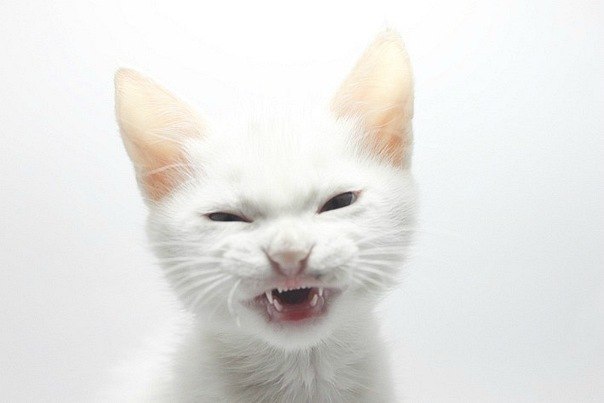 Katerina Babenceva | Владивосток