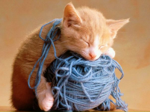 №9, Саша Боднарчук, Теплик №9, Саша Боднарчук, Теплик