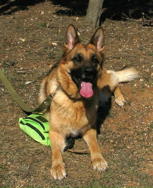 №99, Руслан Гордеев, Львов №99, Руслан Гордеев, Львов