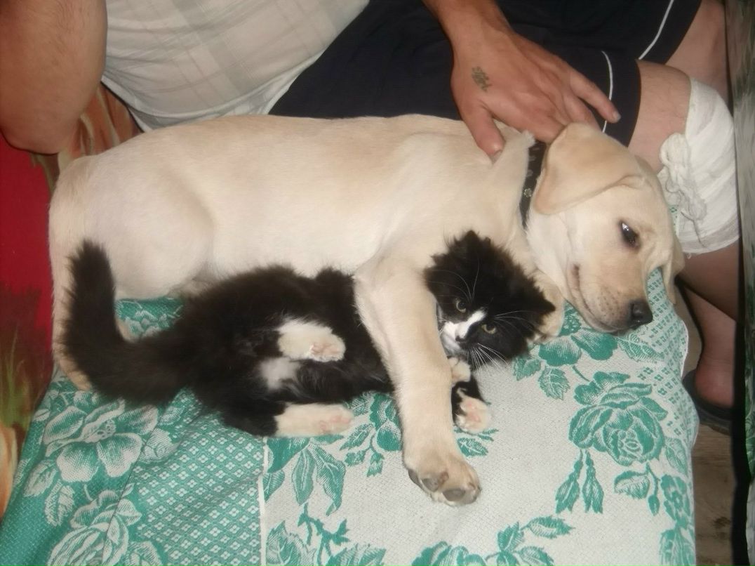 Светлана Исакова | Вельск