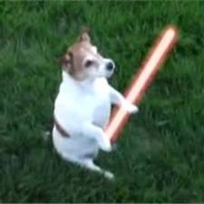 Толик Братченко | Ухта