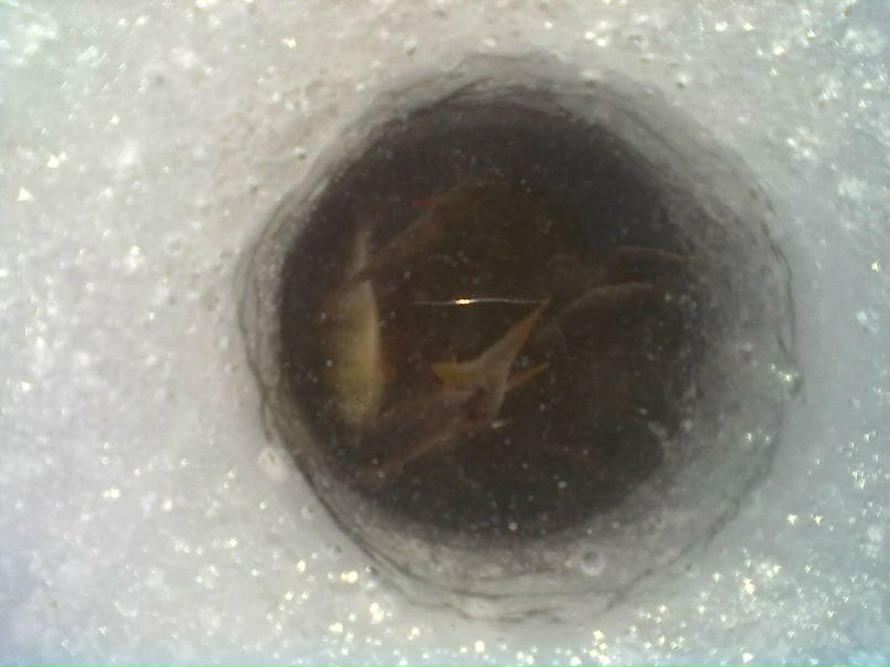 Вадим Прокопенко | Винница