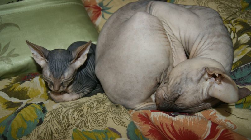 Иван Чаев | Магнитогорск