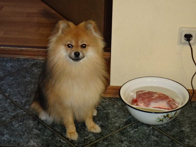 Александр Башкин | Москва