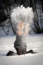 Фотография Юдиной Ольги