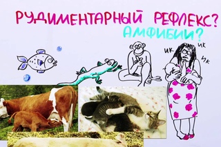 Зачем люди икают? pfxtv  brf.n?