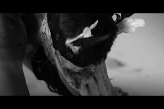 Grimes - Nightmusic (Mash-up Video)