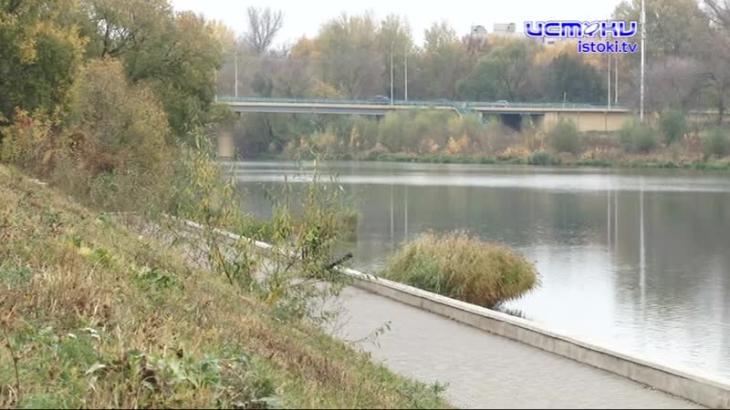 На набережной Дубровинского снова спилили