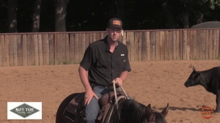 Working 2 year olds on cattle with Matt Tune Performance Horses
