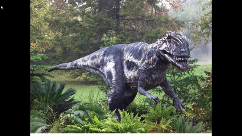 Reptilia vs Mammalia. 200 млн. эволюционной гонки