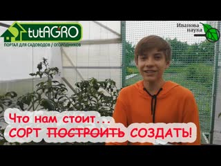ДОСТУПНО ДЛЯ ВСЕХ! СОЗДАЕМ СВОИ СОРТА ТОМАТОВ! Захар Фёдоров - о селекции томата.