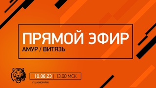 «Амур» — «Витязь» Трансляция матча.