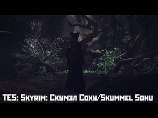 TES: Skyrim: Скумэл Соху/Skummel Sohu (Прохождение ч.2.1)