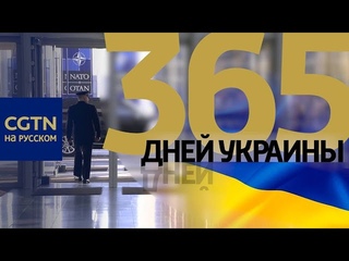 365 дней Украины/НАТО: репортаж к годовщине западной провокации