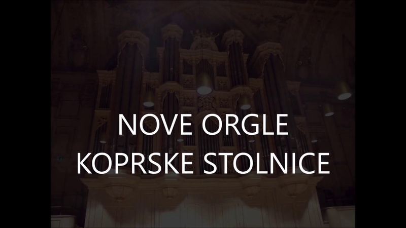 NOVE ORGLE KOPRSKE