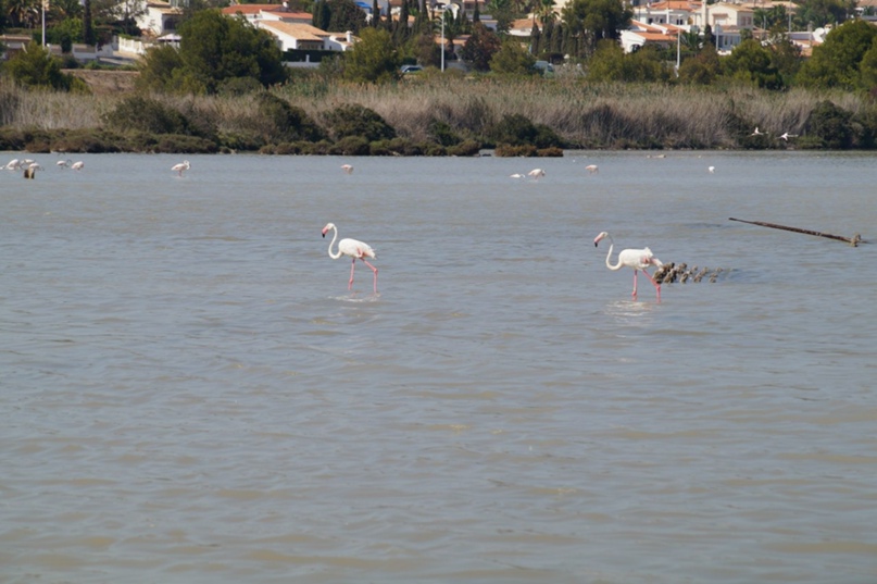 Светлана Кузьминская | Санкт-Петербург