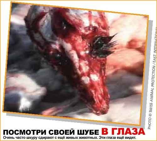 Елена Зиновьева | Москва