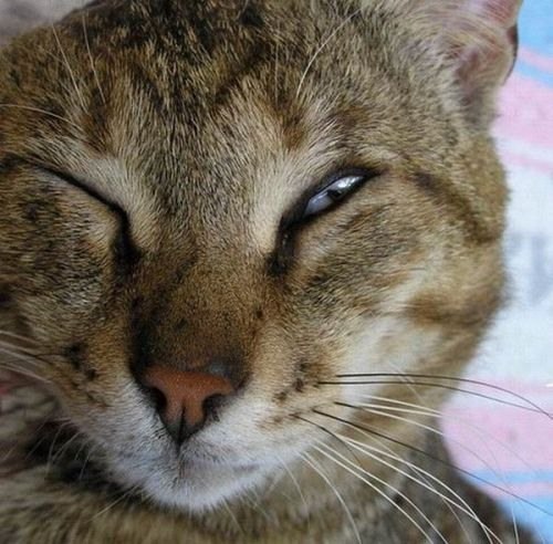 Артур Сафин | Набережные Челны