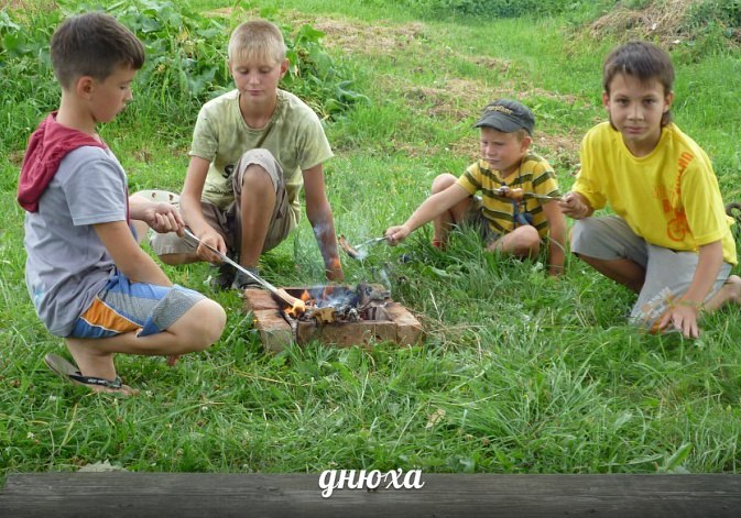 Ваня Николаев | Боровичи