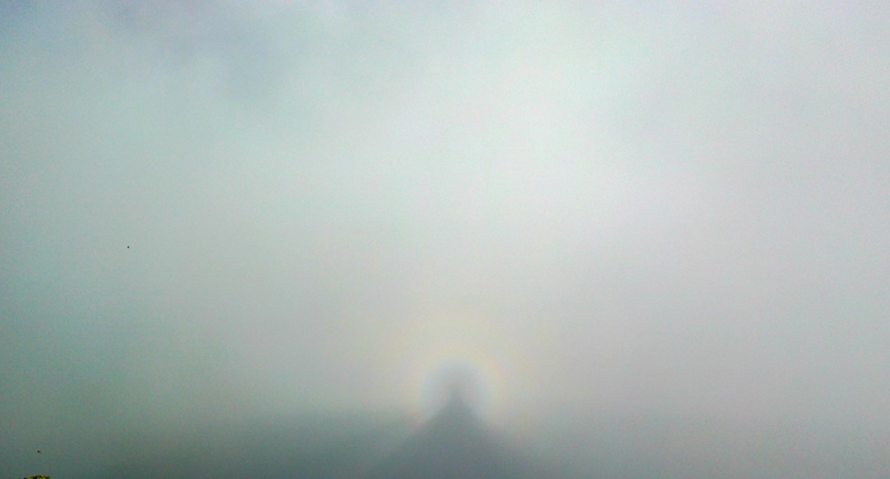 Полина Сергеевна | Сочи