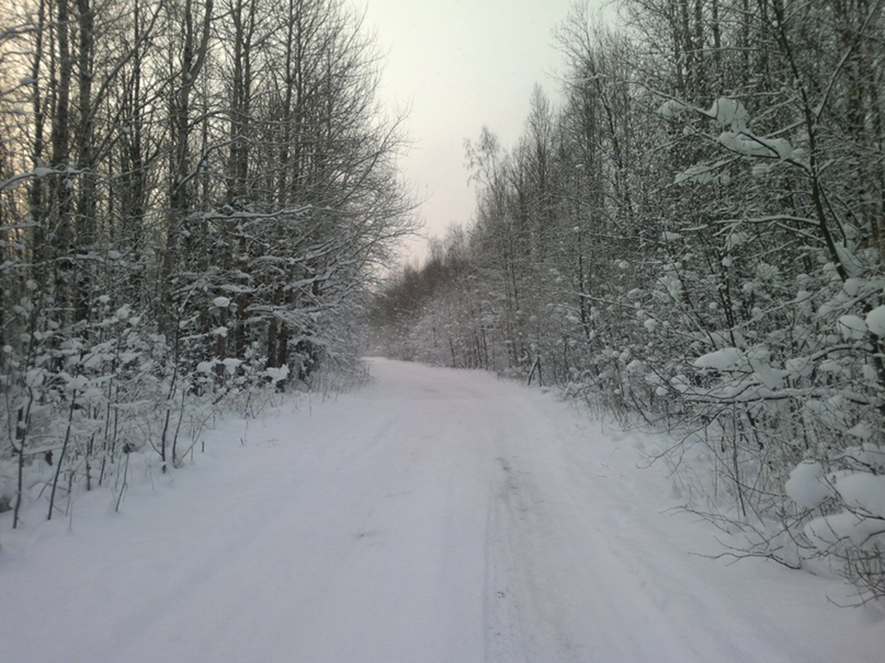 Александр Брисюк | Санкт-Петербург