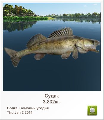 Дмитрий Корецкий | Днепр (Днепропетровск)