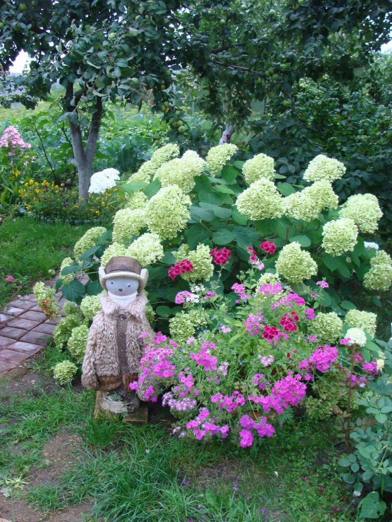 Ольга Гришакова | Муром