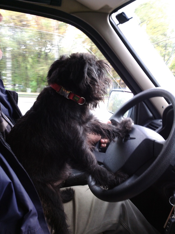 Сергей Бочкарев |