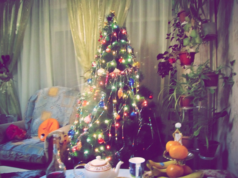 Ирина Шевченко **VORONA** | Тюмень