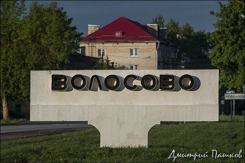 Татьяна Принцева | Волосово